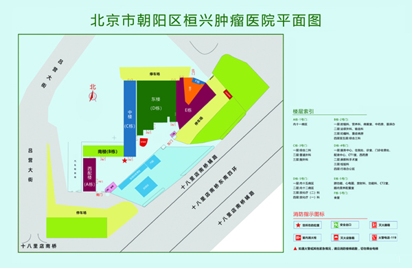 欧美艹逼视频大全北京市朝阳区桓兴肿瘤医院平面图